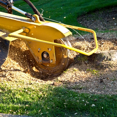 Commercial Stump Grinding service icon