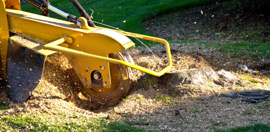 Commercial Stump Grinding service
